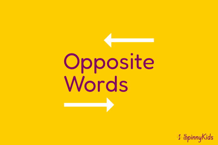Words and Opposite in English