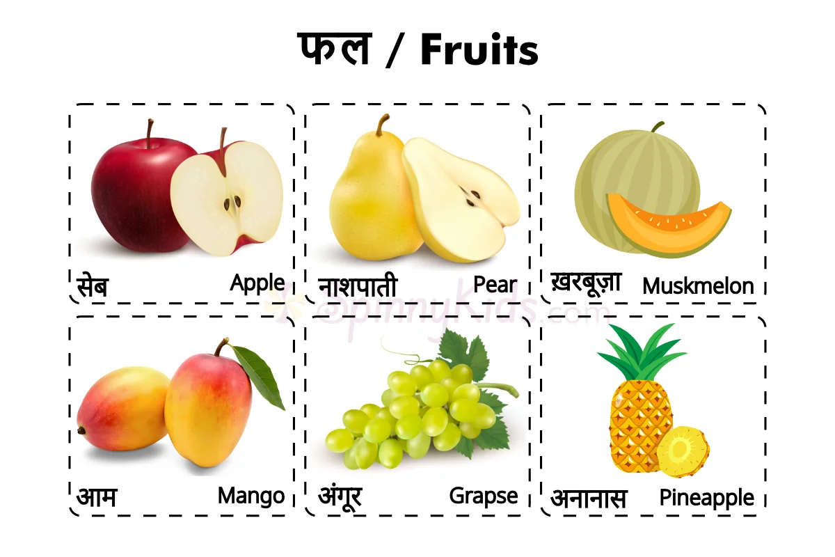 Hindi names of fruits
