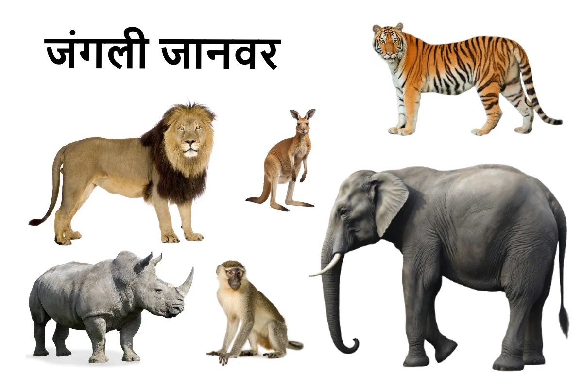 Wild Animals Name in Hindi for kids